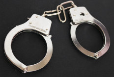 Diduga Culik dan Cabuli Anak 7 Tahun, Kepala Dapur Program MBG di Lampung Timur Dibekuk Polisi