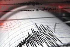 Gempa di Sulut, BNPB Peringatkan Potensi Tsunami di Lima Daerah Pesisir Indonesia