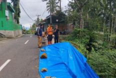 Longsor Ancam Jalan Kabupaten di Ciamis, Akses Dua Dusun Terancam Terputus