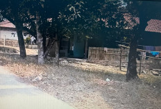 Masih Ada Kampung Tradisional di Kabupaten Bekasi, Datang ke Kampung Cijambe Desa Ridogalih Cibarusah