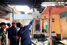 Basmi Sarang Tawon dan Ranting, Satu Rumah Tinggal di Sukaluyu Karawang Terbakar