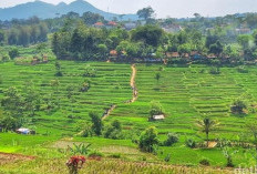 Program Desa Wisata di Jawa Barat Terus Digenjot