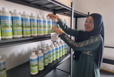 Dari Tumpukan Cangkang Rajungan Menuju Harapan Baru