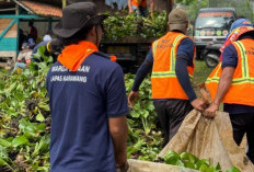 9 Warga Binaan Asimilasi Lapas Karawang Bersihkan Eceng Gondok di Anggadita