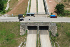 Gorong-gorong Beton Raksasa Dibangun di Tol Japek Selatan, Lindungi Mata Air Citaman