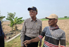 Sawah di Kabupaten Bekasi Kering 7 Bulan, Menteri PU Ngamuk hingga Ancam Copot Dirjen SDA dan BBWS Citarum