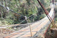 Jembatan Gantung Pongpet Putus Saat Peresmian, Warga Harap Dibangun Permanen