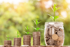 13 Prinsip Hidup Warren Buffett yang Jadi Rahasia Kesuksesannya, Nomor 7 Sering Diabaikan Anak Muda!
