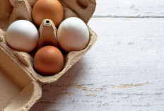 Hilang Beberapa Kg dalam Hitungan Hari dengan Diet Telur Rebus! Tapi Ini Risikonya
