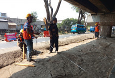 Sudah Didesain Tiga, Taman Flyover ?Cikampek Diperluas hingga Delapan Segmen