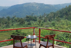 Hanya Modal Rp400 Ribu Bisa Menikmati Glamping dan Menginap di Villa dengan View Gunung Gede Pangrango