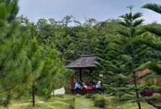 Bosan Dengan Suasana Panas Cikarang ? Kunjungi Wisata Kampoeng Kita Setu dengan Berkonsep Pedesaan Asri