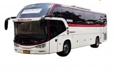 Mudik Gratis Pemprov DKI Jakarta 2026 Dibuka 22 Februari, Pendaftaran Online hingga Kuota Habis