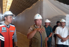 BULOG Gerak Cepat Tangani Keluhan Warga, Direktur Operasi Tinjau Langsung Gudang Beras di Karawang