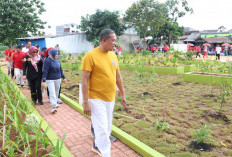 MINIMNYA RUANG TERBUKA HIJAU DINILAI BERDAMPAK PADA KUALITAS LINGKUNGAN KOTA