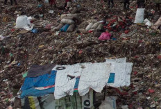 Longsor Sampah di Bantar Gebang Disebut Puncak Gunung Es, Menteri LH Soroti 80 Juta Ton Sampah Jakarta