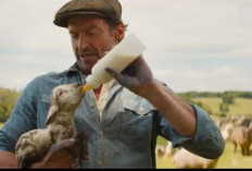 Daftar Film Bioskop Terbaru yang Rilis Februari 2026: Ada Horor Lokal dan Box Office Hollywood!