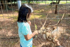 Cari Wisata Gratis di Cikampek? 5 Tempat Ini Bisa Jadi Pilihan untuk Isi Akhir Pekan