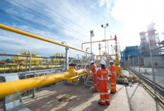 Pemerintah Prioritaskan Pasokan Gas Abadi Masela untuk Kebutuhan Dalam Negeri