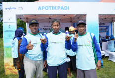 MIRAVIS Duo Bantu Petani Karawang Tingkatkan Produktivitas dan Kualitas Gabah