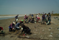Ceceran Minyak Kotori Pesisir Karawang, Warga dan DLH Turun Bersihkan Pantai