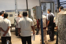 Dari Adhimix hingga Coca Cola Kena Operasi Pajak, Ini Hasilnya...