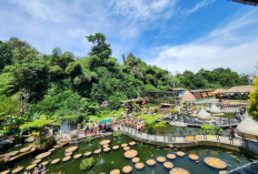 10+ Destinasi Wisata yang Seru di Bandung, Cocok Buat Healing Akhir Pekan Usai Kerja Seharian 