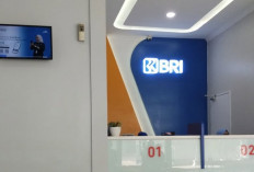 Mau KUR BRI 2026 Langsung Cair? Ini Tata Cara Pengajuan agar Langsung Berhasil