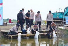 Program Pusat Mulai Terasa di Pesisir Bekasi, Polisi Tebar Puluhan Ribu Bibit Ikan di Muara Gembong