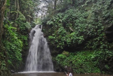 Rekomendasi 8 Wisata Curug di Kuningan dengan Panorama Alam Menyegarkan