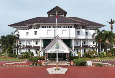 RINGKASAN LAPORAN PENYELENGGARAAN PEMERINTAHAN DAERAH (RLPPD) PEMERINTAH KABUPATEN KARAWANG TAHUN 2025