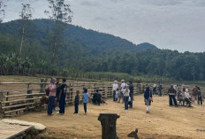 5 Fakta dan Data Lengkap Kenapa Semua Orang Suka Liburan di Bandung