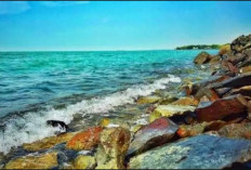 Bingung Libur Lebaran Mau Ke Mana? Ini 7 Wisata Tepi Laut di Wilayah Utara Karawang yang Indah dan Mempesona