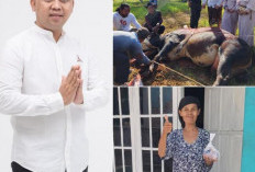Wakil Ketua DPRD Karawang H. Oma Berbagi Kebahagiaan Iduladha, Potong Belasan Hewan Kurban Sapi dan Kambing