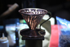 Jangan Asal Beli Biji Kopi! Ini 13 Panduan Memilih Kopi untuk Manual Brew V60 di Rumah agar Rasanya Nikmat 
