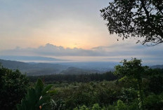 6 Rekomendasi Tempat Wisata Karawang yang Lagi Hits, Cocok Buat Healing Lebaran 2026 Bareng Keluarga 