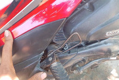 Daftar 11 penyebab v belt cepat aus yang wajib diwaspadai sebelum putus di jalan, Kenali Tandanya!
