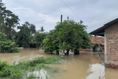 Cuaca Ekstrem Uji Warga Saat Ramadan: 17 Ribu KK di Kabupaten Bekasi Terdampak
