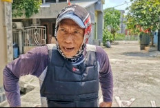 GAWAT, Monyet Ganas Ngamuk dan Cakar Bocah di Tarumajaya