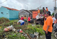 Kaliulu di Cikarang Utara Dibersihkan, Pemerintah Tekan Risiko Banjir