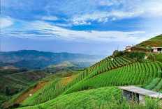 Rekomendasi Liburan Keluarga di Majalengka Dua Hari: Cocok untuk Menikmati Alam Kaki Gunung Ciremai