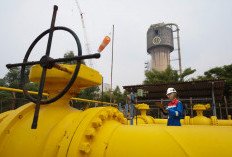 Dukung Ketahanan Pangan Nasional, Pertagas Pastikan Pasokan Gas Berkelanjutan untuk Industri Pupuk