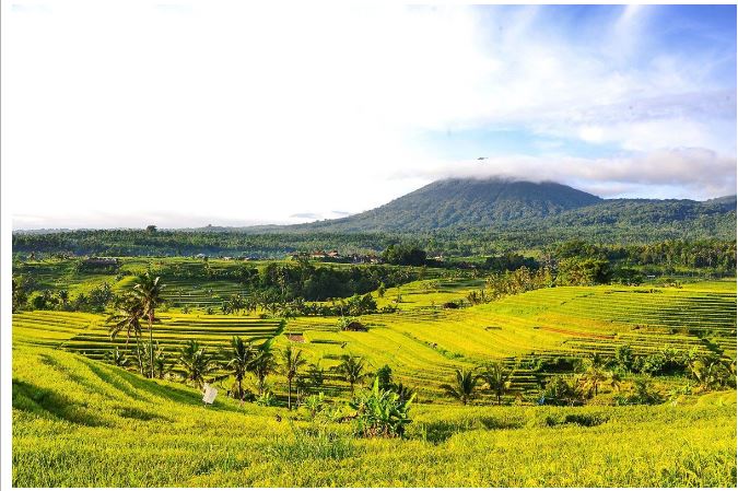 Ingin Liburan ke Bali, Ini 3 Destinasi yang Luar Biasa Indah Untuk Dikunjungi