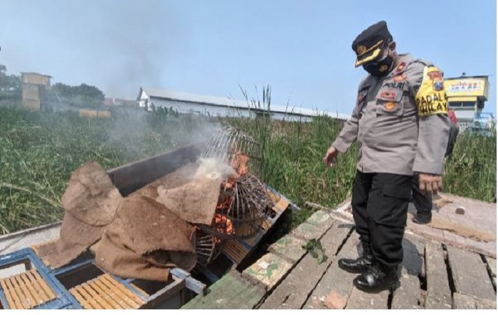 Lokasi Judi Burung Dara Digerebek Polisi, Kandangnya Dibakar Agar Memberi Efek Jera