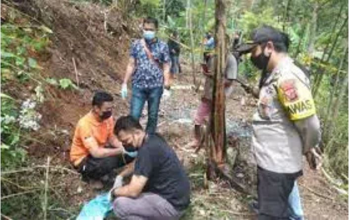 Biadap!, Tangan dan Kaki Terikat Kain, Mayat Bayi Ditemukan di Lahan Perkebunan