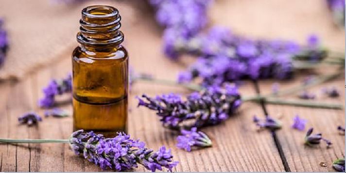 Jerawat Sirna, Ini 5 Manfaat Minyak Lavender untuk Kesehatan Kulit