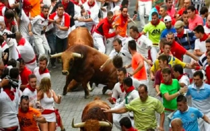 Festival Lari Banteng, Pria Ini Tewas Mengenaskan Diseruduk