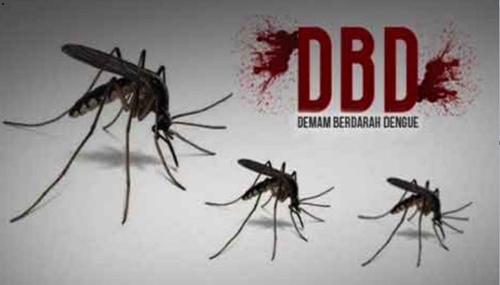 DBD di Kota Bekasi Tembus 2.035 Kasus, Meninggal 12 jiwa