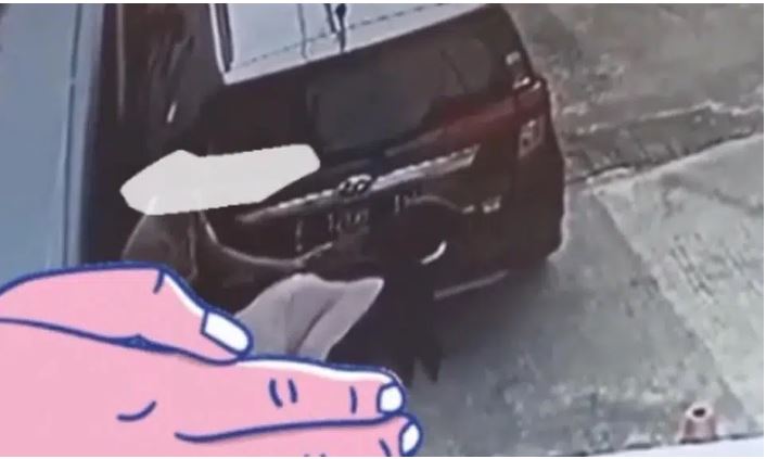 Sejoli Mesum di Belakang Mobil, Pelaku Penyebar Video Ditangkap