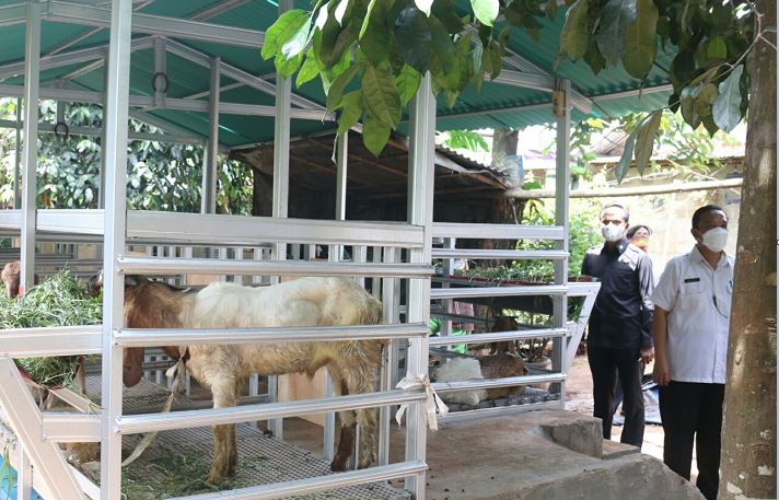 Heboh!, Pemkot Kucurkan Rp2,3 M untuk Kandang Kambing, Warga: Kami Hanya Penerima